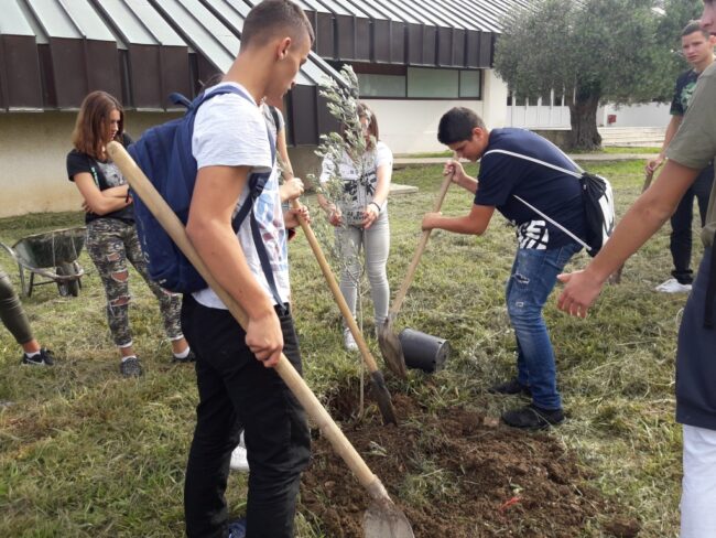 Proslava prvog Svjetskog dana pčela