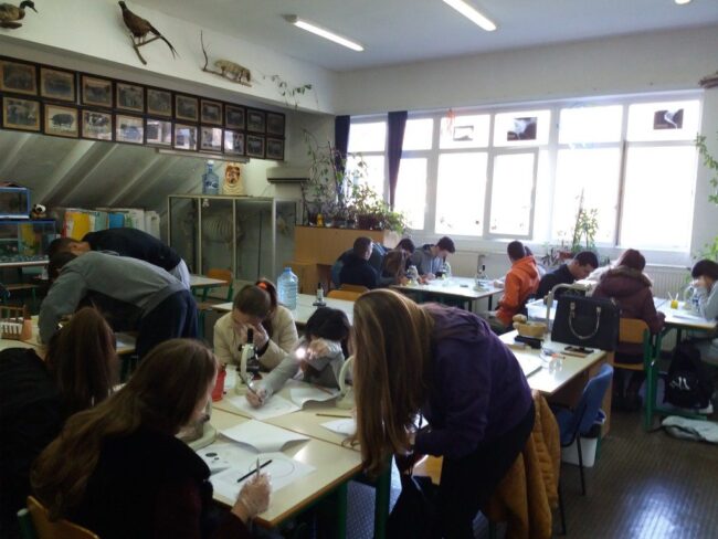 Ogledni čas sa učenicima obrazovnog programa Veterinarski tehničar