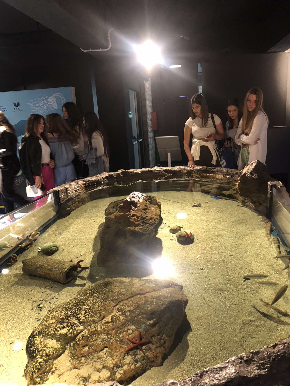 IMG-625a93f71cd7c8b3beb4d07159e44df5-V